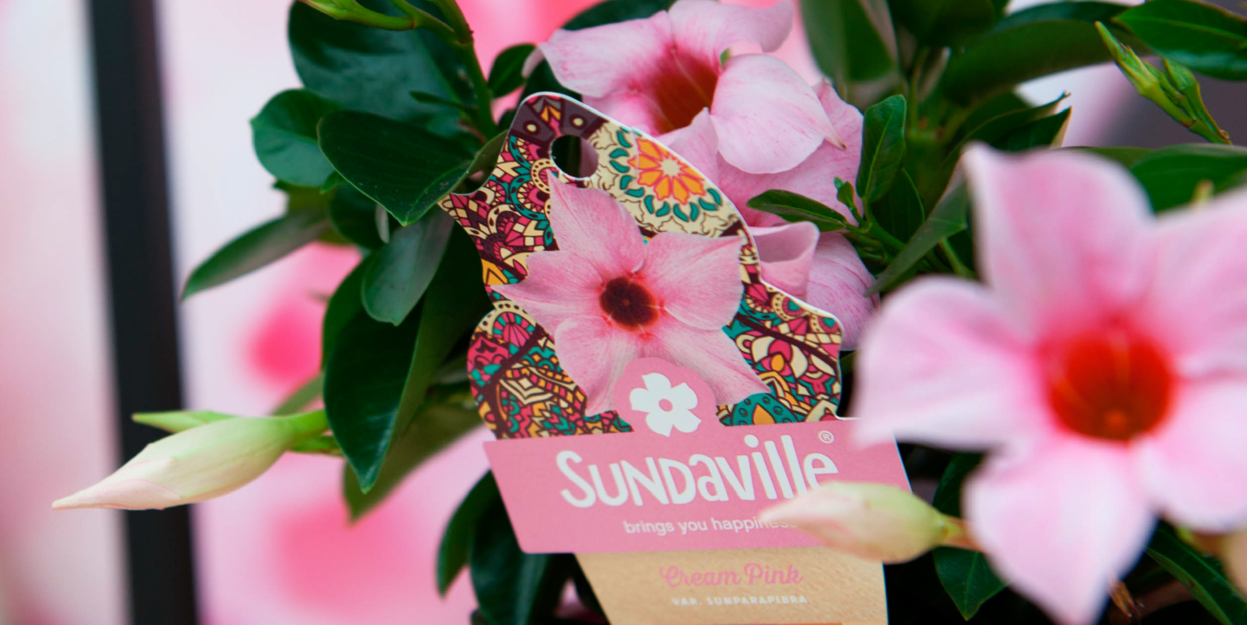 Sundaville